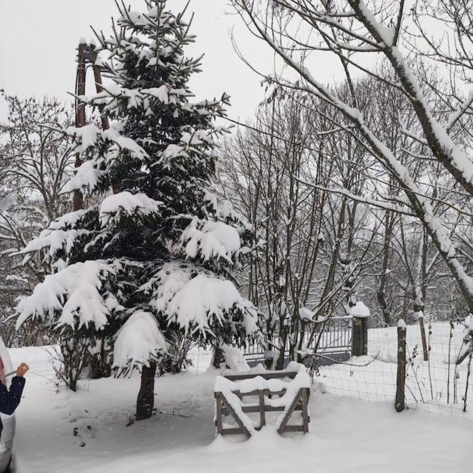 Maison De Montagne Au Calme Avec Cheminee Poubeau ภายนอก รูปภาพ